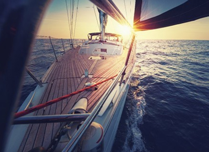 Disclosure of Wealth